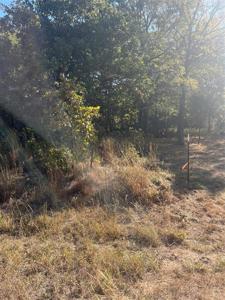 133 Running Deer Road