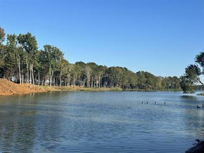 Lot 43 Oak River
