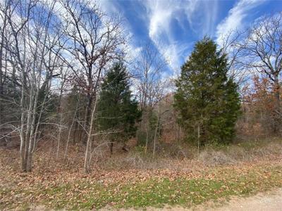 Lot 323 Tom Hickman Lane