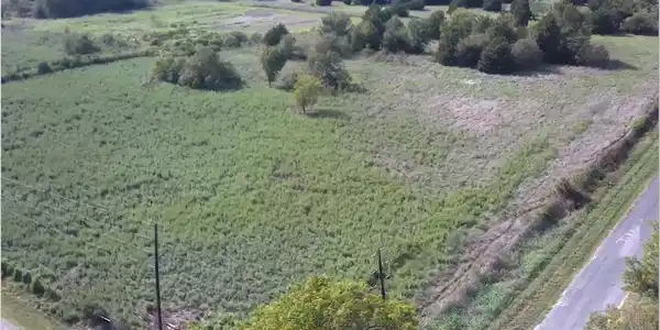 84.666 Acres SE County Road 3240