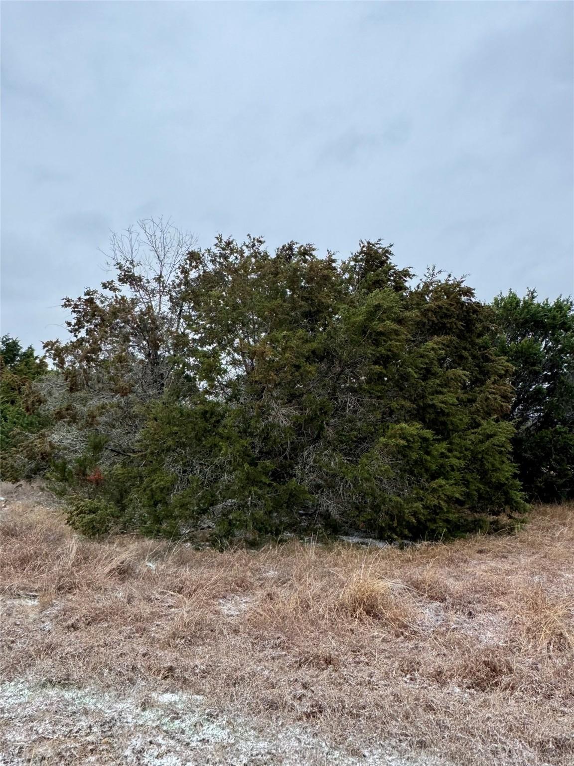 Image 3 Image 3