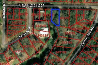 Lot 83 Palo Pinto Pass
