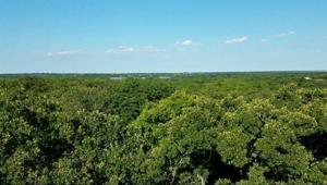 TBD Canyon Bluff Court