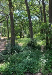 TBD Apache Lane