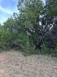 32049 Dove Trail