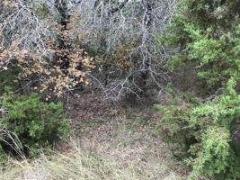 41063 Heartwood Circle