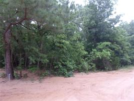 tbd Timber Grove
