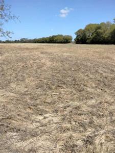 CR 2260 County Rd 2260