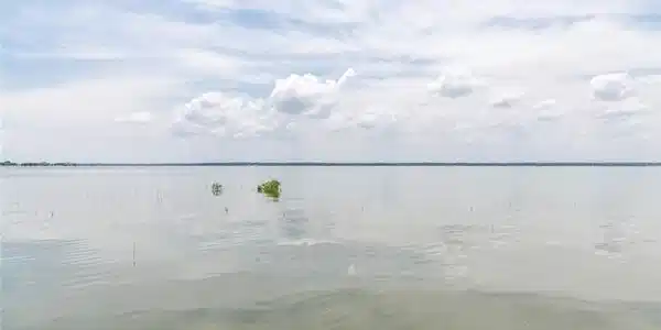 0 The Shores Drive