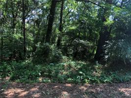 Lot 439 Shady Trail Drive