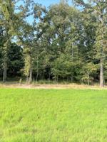 Lot 111 Open Water Point