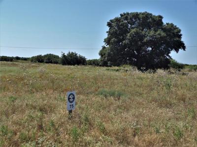 Lot 75 Lakeshore Loop