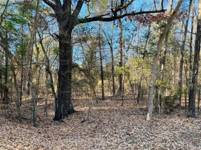 Lot 32 & 33 Winding Lane