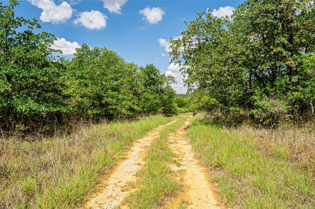 6 CR 1738, Chico, TX lhrmls01390370