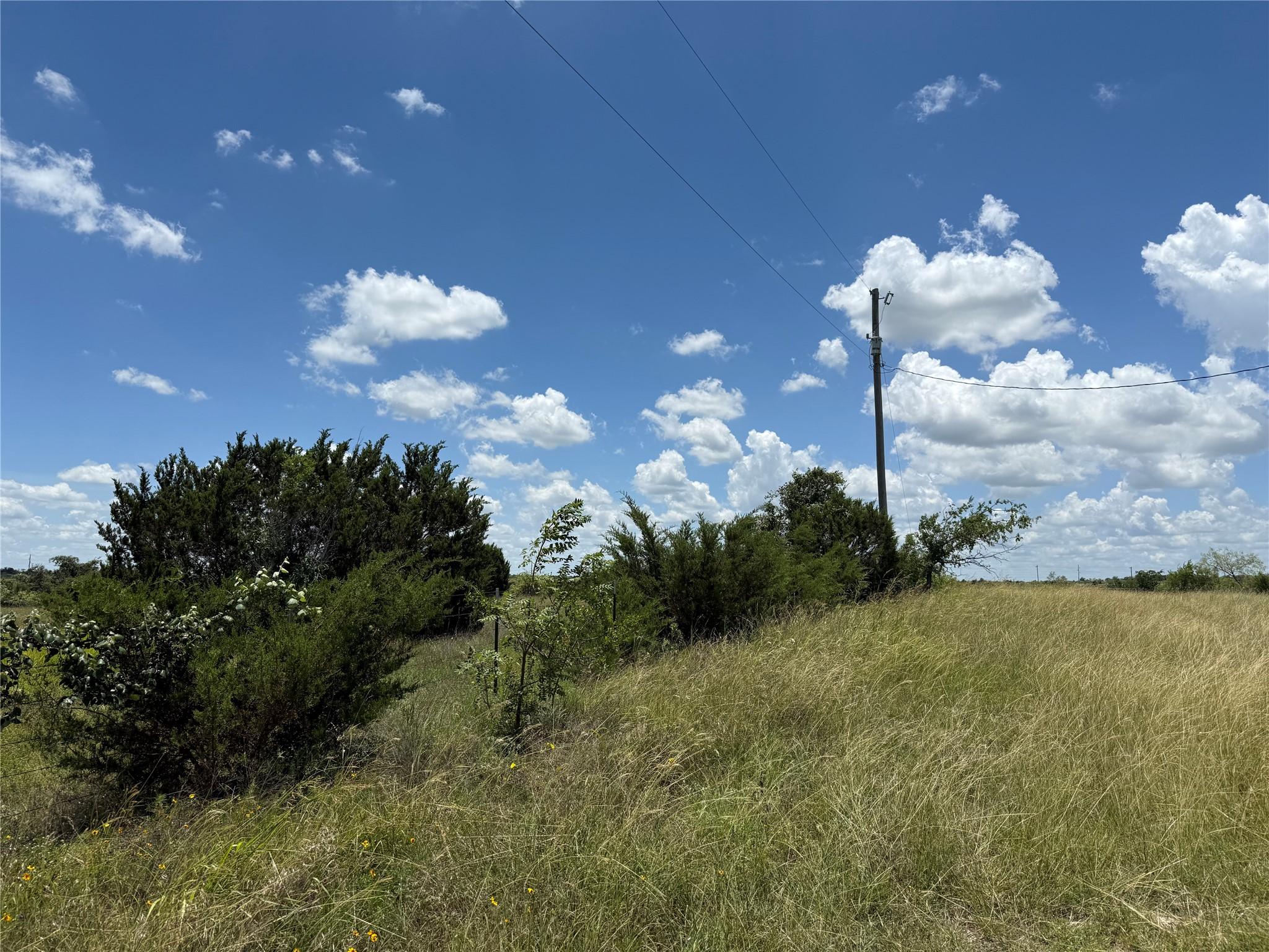 Image 4 Image 4