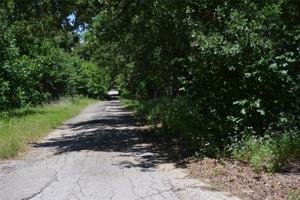 10991 Lakeview Trail