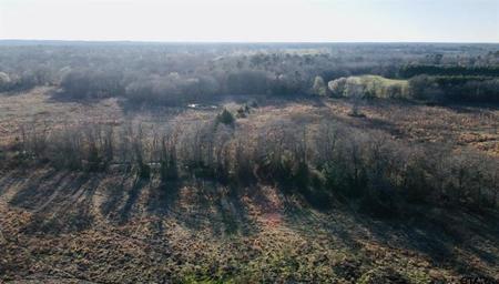 TBD County Road 3370