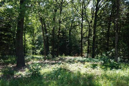 202 Chillacothe Trail