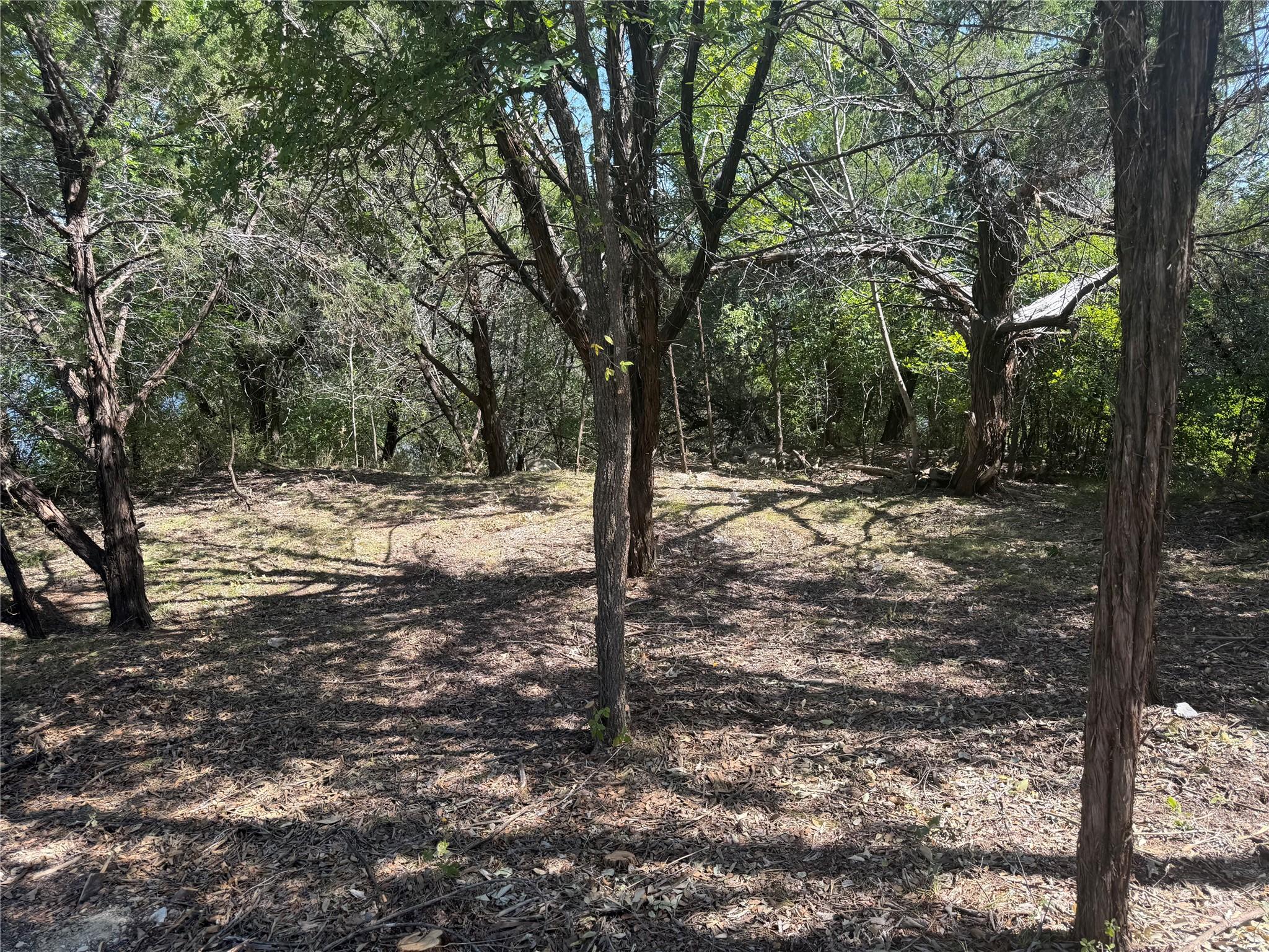 Image 3 Image 3