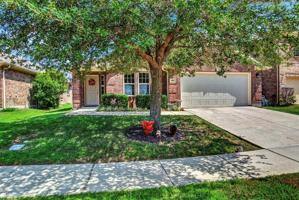 901 Lovebird Lane