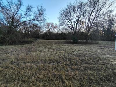 16D Whitefoot