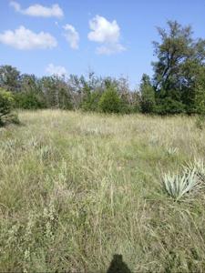 Lot 6 County Road 601