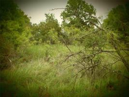 Lot 96 FEATHERBAY BLVD