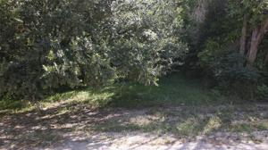 825 Woodhaven Court