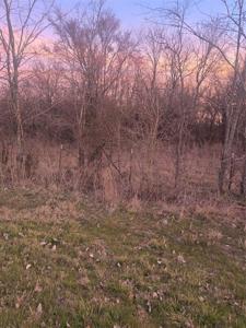 182 Shady Lane