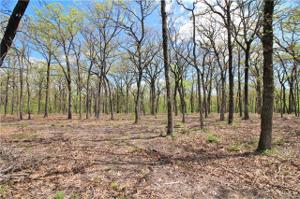 Lot 57 Vintage Shore Way Lot 6