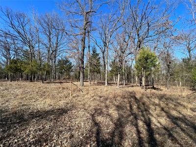 TBD County Road 3376(Lot 67)