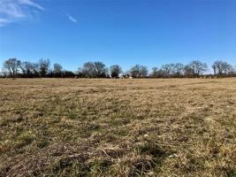 Lot 5 County Road 3419