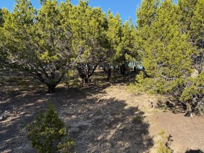 Lot 599 Caprock Court