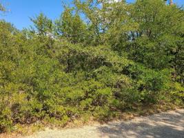 TBD Post Oak Road