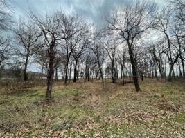 Lot 30 Vintage Shore Drive
