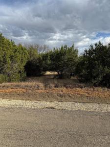 32039 Dove Trail