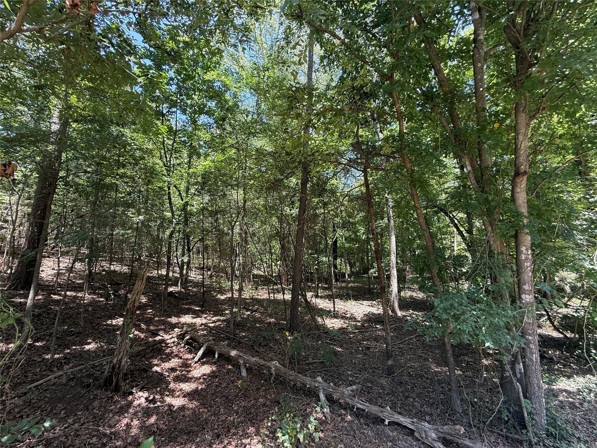 Image 3 Image 3