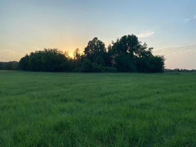 Lot 1 County Road 1813 TBD