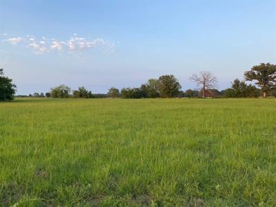 Lot 2 County Road 1813 TBD