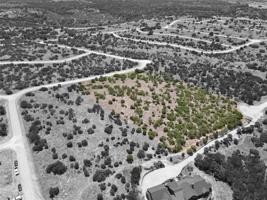 Lot 3 Split Rail Drive