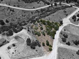 Lot 11 Split Rail Drive