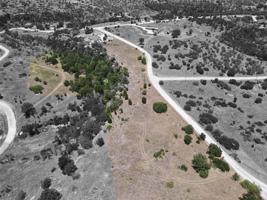 Lot 12 Split Rail Drive