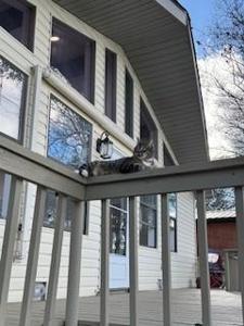 118 Jeffrey Circle