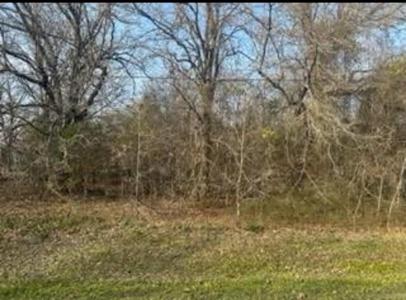 0 Acres Loop