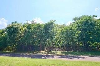 Lot 3 Oak Grove Drive