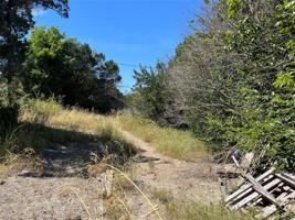 TBD Palomino Loop