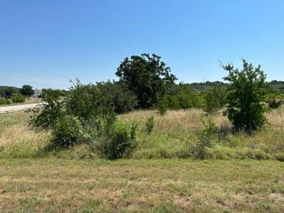 Lot 975 Cinnamon Teal