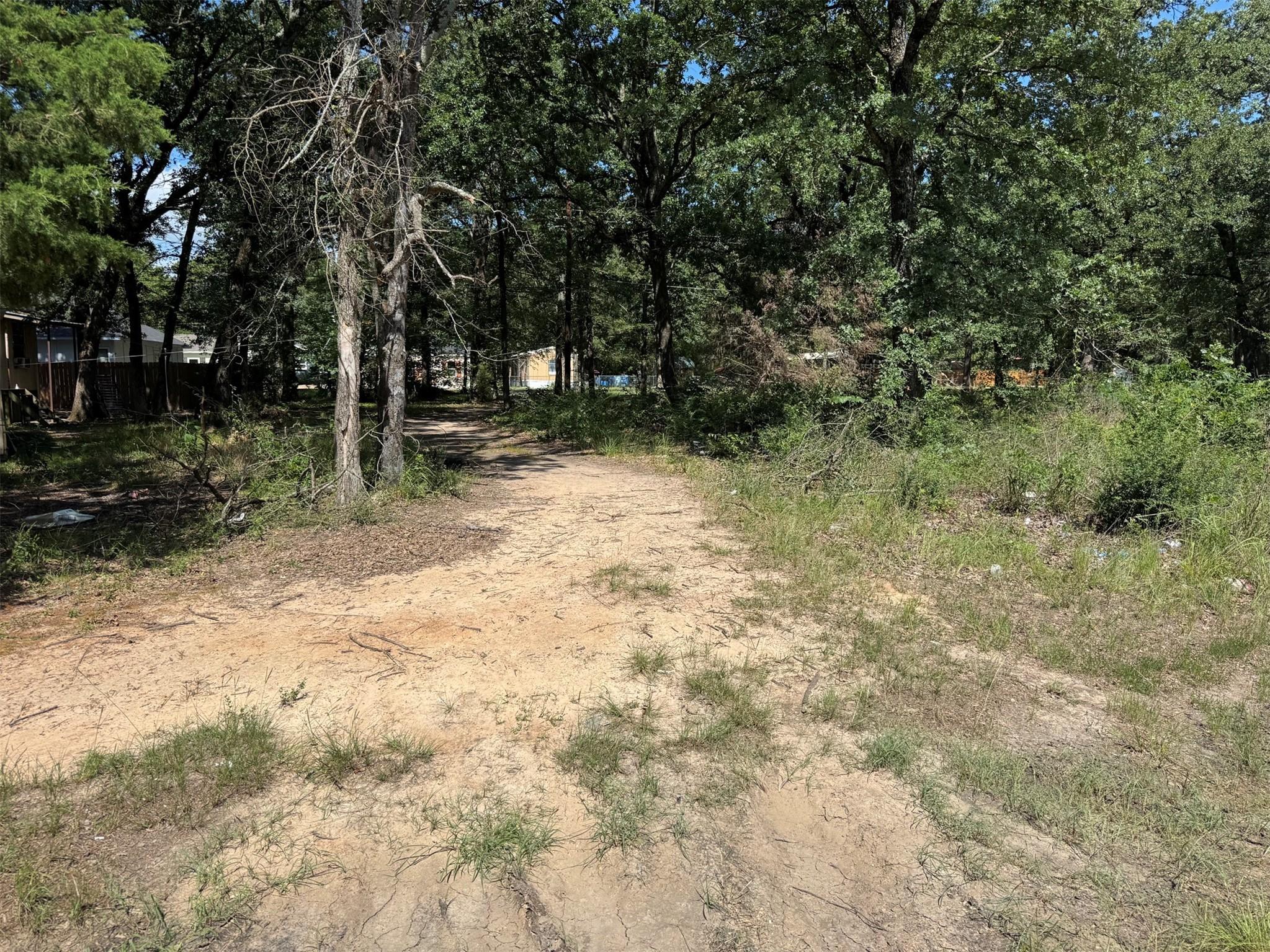 Image 4 Image 4
