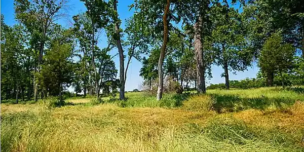 23 Clubhouse Drive Lot 23