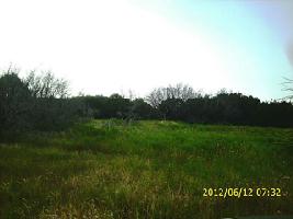 41 Prairie Falcon Lot 41